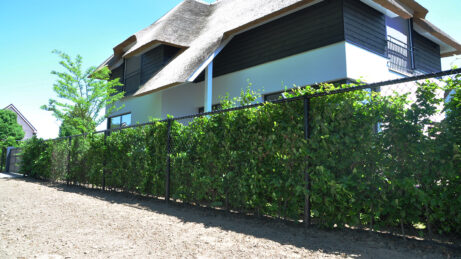 Gaashekwerk villa